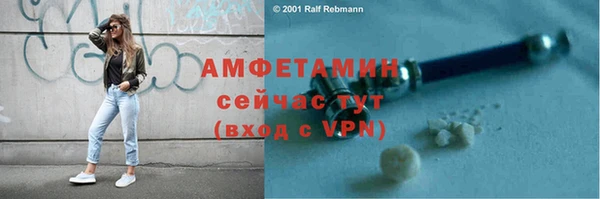 ПСИЛОЦИБИНОВЫЕ ГРИБЫ Богданович