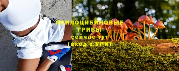 гидра Беломорск