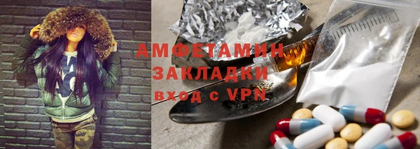 ПСИЛОЦИБИНОВЫЕ ГРИБЫ Богданович