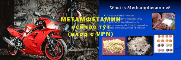 ПСИЛОЦИБИНОВЫЕ ГРИБЫ Богданович