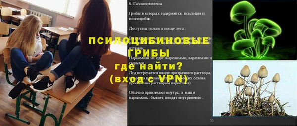 ешки Богородицк